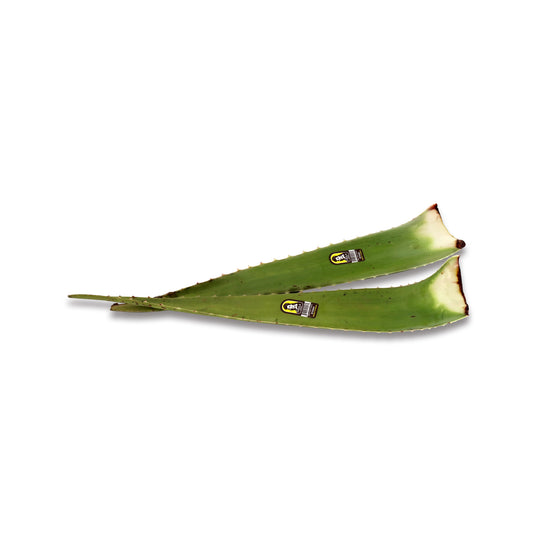 Aloevera 1LB