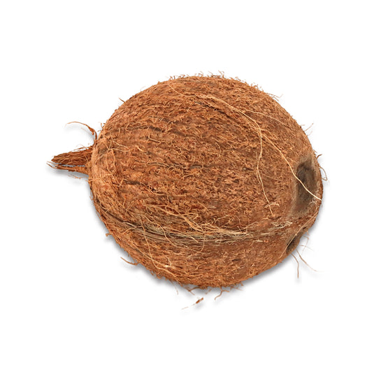 coconut reg 1 Count
