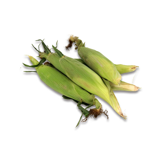 Fresh Corn 1 Count