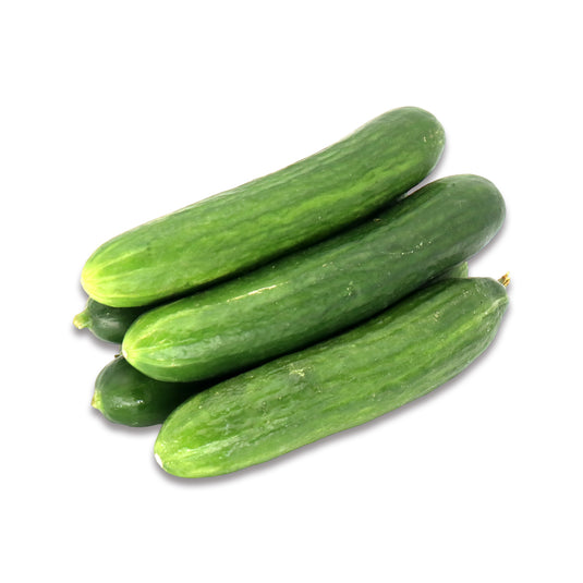 INDIAN CUCUMBER 1LB