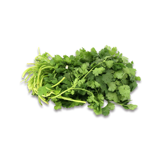 CILANTRO 1Bunch
