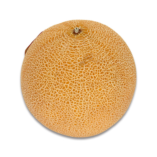 CANTALOUPE 1 Count