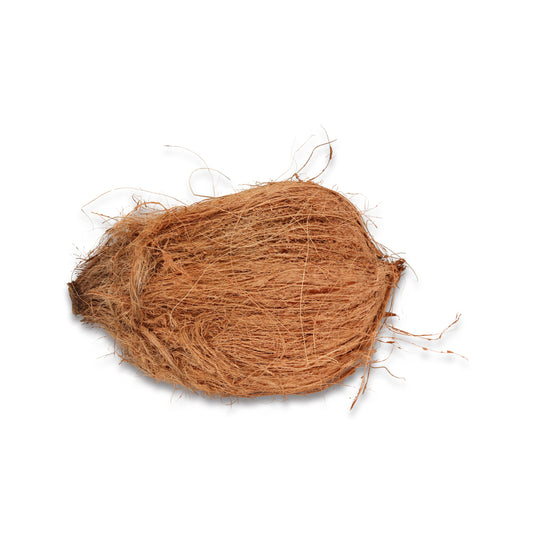 coconut pooja 1 Count