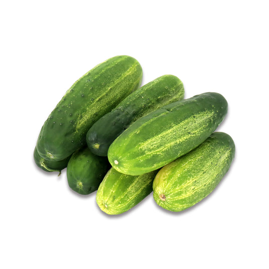 KIRBY CUCUMBER 1LB