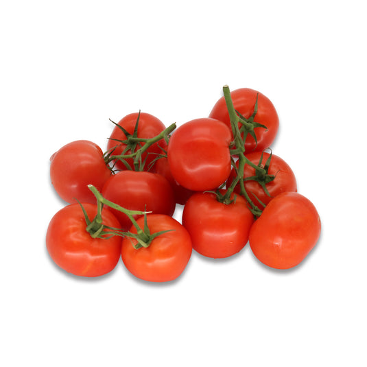 HOLLAND TOMATO 1LB