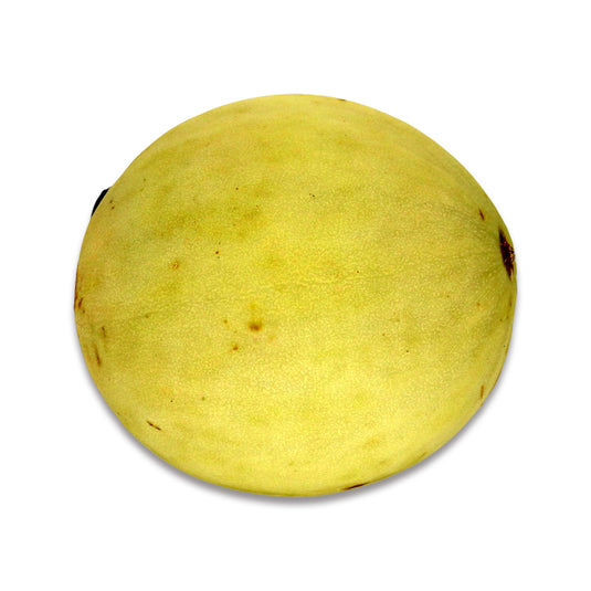 HONEY DEW 1 Count