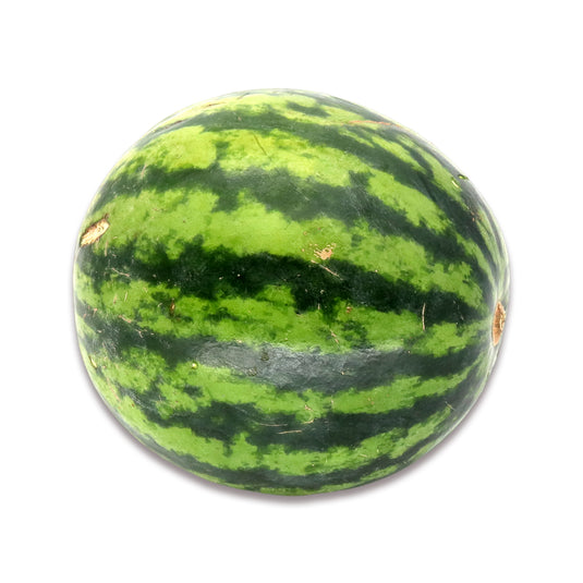 WATERMELON 1 Count