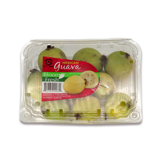 GUAVA BOX 1LB